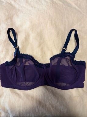 Sheer Lace Trim Demi Cup Underwire Bra in Deep Purple